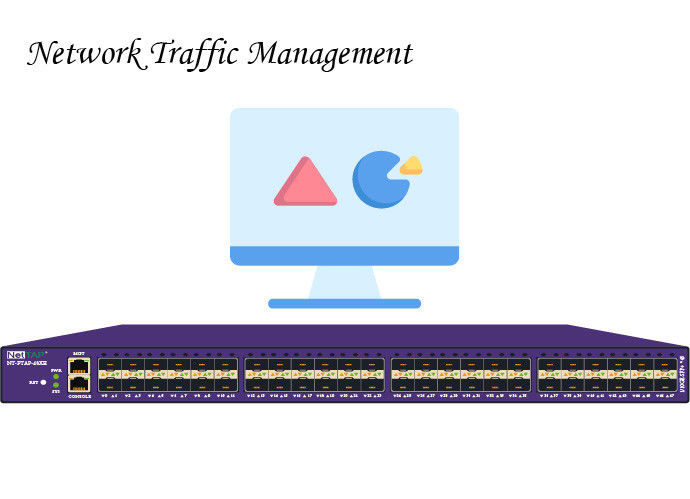 A gestão de trânsito da rede da visibilidade de NetInsight™ aperfeiçoa sua rede mais forte